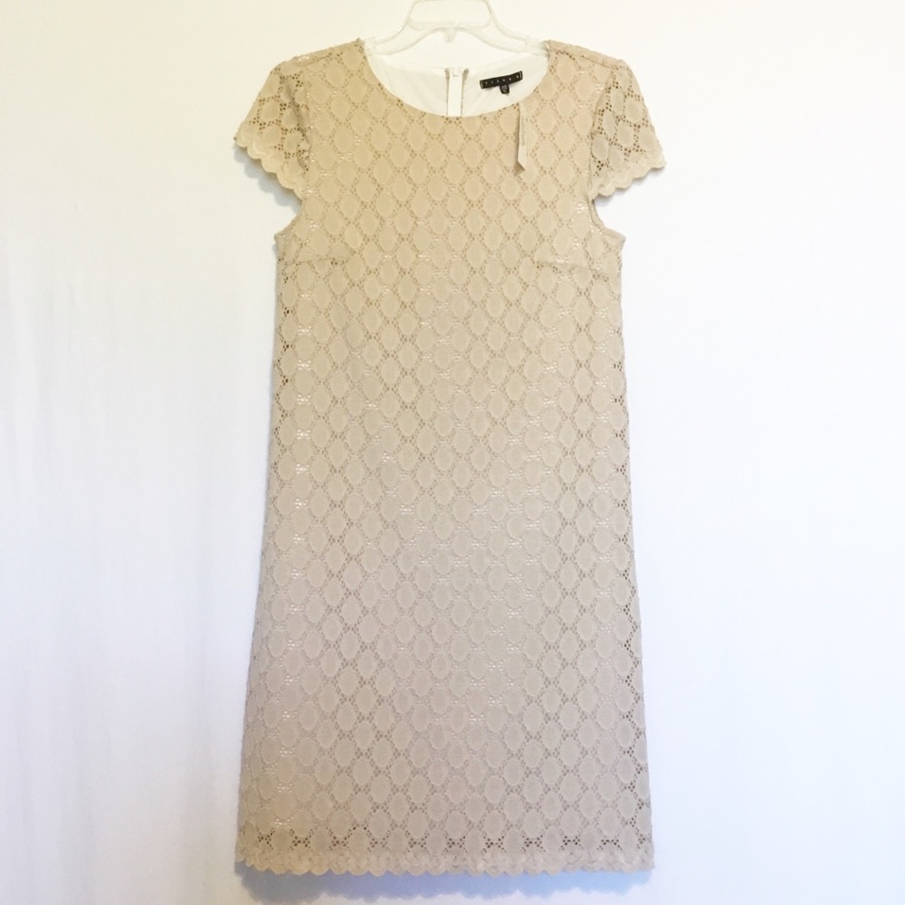 Tiana B, Sheath, A-Lined Dress, Scalloped Edges.